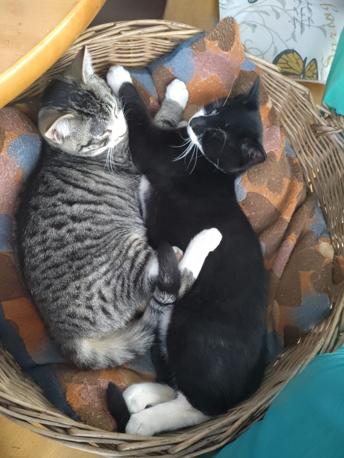 Aktivspielplatz Krempoli